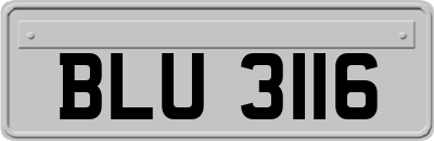 BLU3116