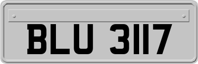BLU3117
