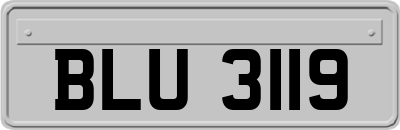 BLU3119