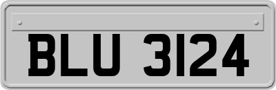BLU3124