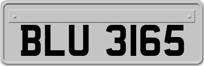 BLU3165