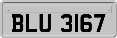 BLU3167