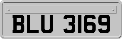 BLU3169