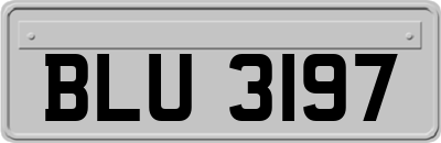 BLU3197
