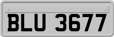 BLU3677