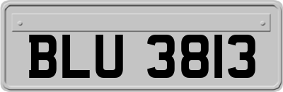 BLU3813