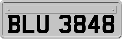BLU3848