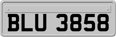 BLU3858