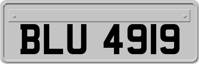 BLU4919