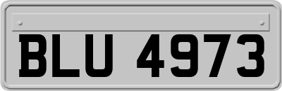 BLU4973
