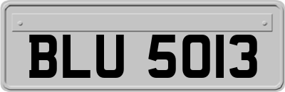 BLU5013