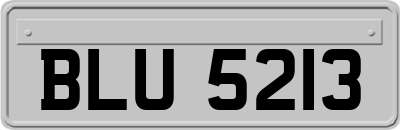 BLU5213