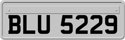 BLU5229