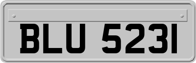 BLU5231