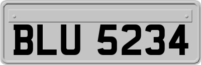 BLU5234