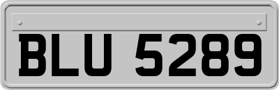 BLU5289
