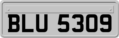 BLU5309