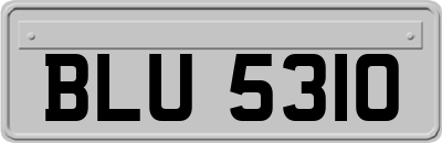 BLU5310