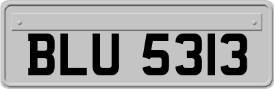 BLU5313