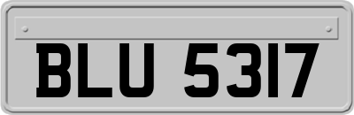 BLU5317
