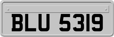 BLU5319