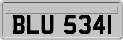 BLU5341