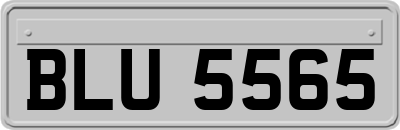 BLU5565