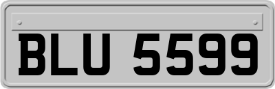 BLU5599