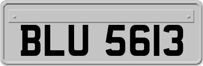 BLU5613