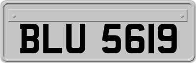 BLU5619