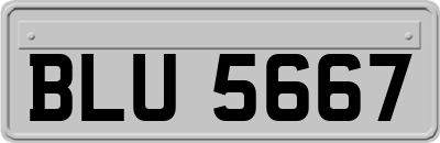 BLU5667