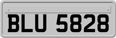 BLU5828