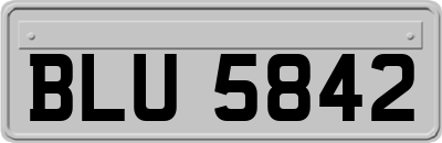 BLU5842