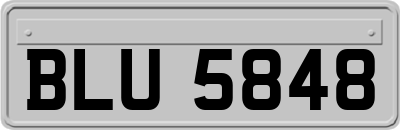 BLU5848
