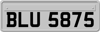 BLU5875
