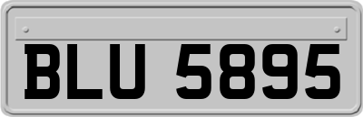 BLU5895