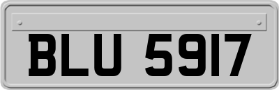 BLU5917