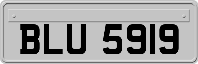 BLU5919