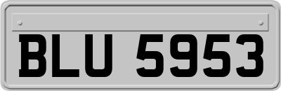 BLU5953