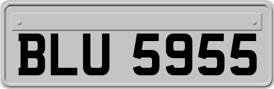 BLU5955