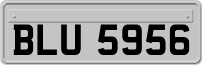 BLU5956