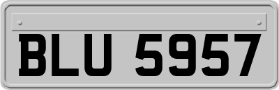 BLU5957