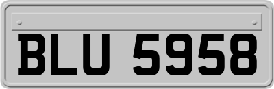 BLU5958