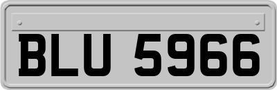 BLU5966