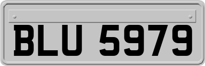 BLU5979