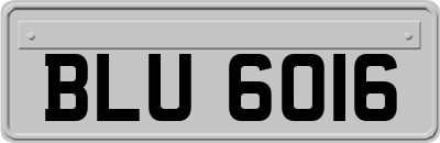 BLU6016