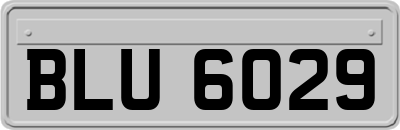 BLU6029