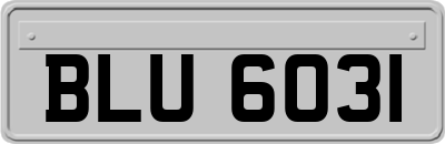 BLU6031