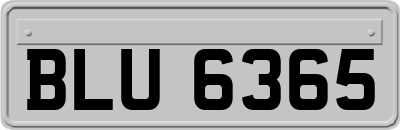 BLU6365