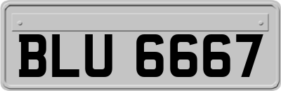 BLU6667